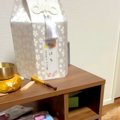 14年間、兄弟のよう…