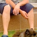 犬のために庭を作っ…