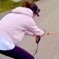 体重43キロの秋田犬…