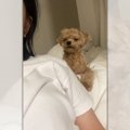 韓ドラで号泣するヌ…