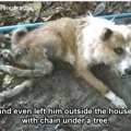 後ろ足を二本骨折…そ…