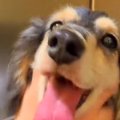 ある日、突然歩けな…