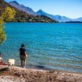 犬と旅行に行き素敵…