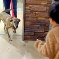 手術のために入院し…