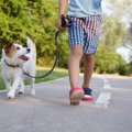 犬の散歩を子供だけ…