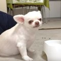 ちゃんと居てよ！一…