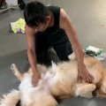 何を見せられている…