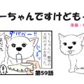 ちーちゃんですけど…