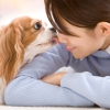 気づいてますか？犬…