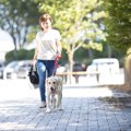 夏に『犬を散歩させ…