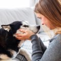 犬の目を『見つめ続…