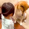 2歳の女の子を『家族…