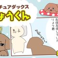 デカチュアダックス…
