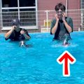『泳ぎが得意な犬』…