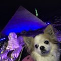 ミニチュアの世界♪「…