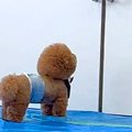 お母さんが外に出て…