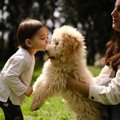 犬が『仲間』と思っ…