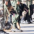 戦争で使われた「対…