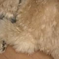 仕事の帰り道、駅前…