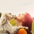 犬が飼い主を嫌って…