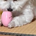 『絶対に取られたく…