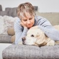 犬が『憂鬱な気分』…