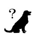 工藤静香さんの愛犬…