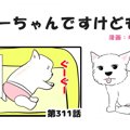 ちーちゃんですけど…