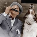 音楽が流れたり飼い…