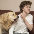 犬の無駄吠えは酢で…