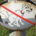 犬のお散歩あるある！