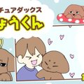 デカチュアダックス…
