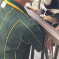 『クロネコヤマトの…