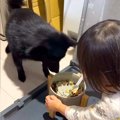 娘が犬のご飯に『お…