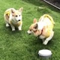 雨が降る中、お揃い…
