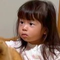秋田犬をお迎えして…
