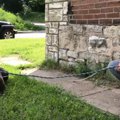 倒壊寸前の家から犬…