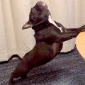毎日ストレッチを欠…
