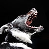 犬が吠えることをや…