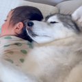 入院中、居ないママ…