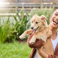 『人懐っこい犬』の…