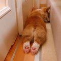 『あら、こんなとこ…