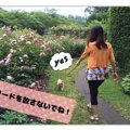 犬を飼ったからこそ…