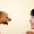 犬に絶対NGな『アイ…