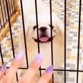 『あっ、まだいる』…