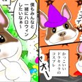 僕のはなぺちゃ工房 …