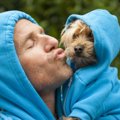 気をつけて！犬が飼…