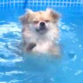 『プールが深くて溺…