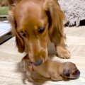『なんだろ、泣ける……