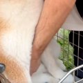自転車で遊びに出か…